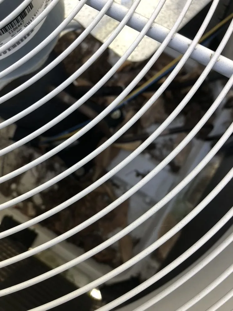 Slide of Just Hot Water