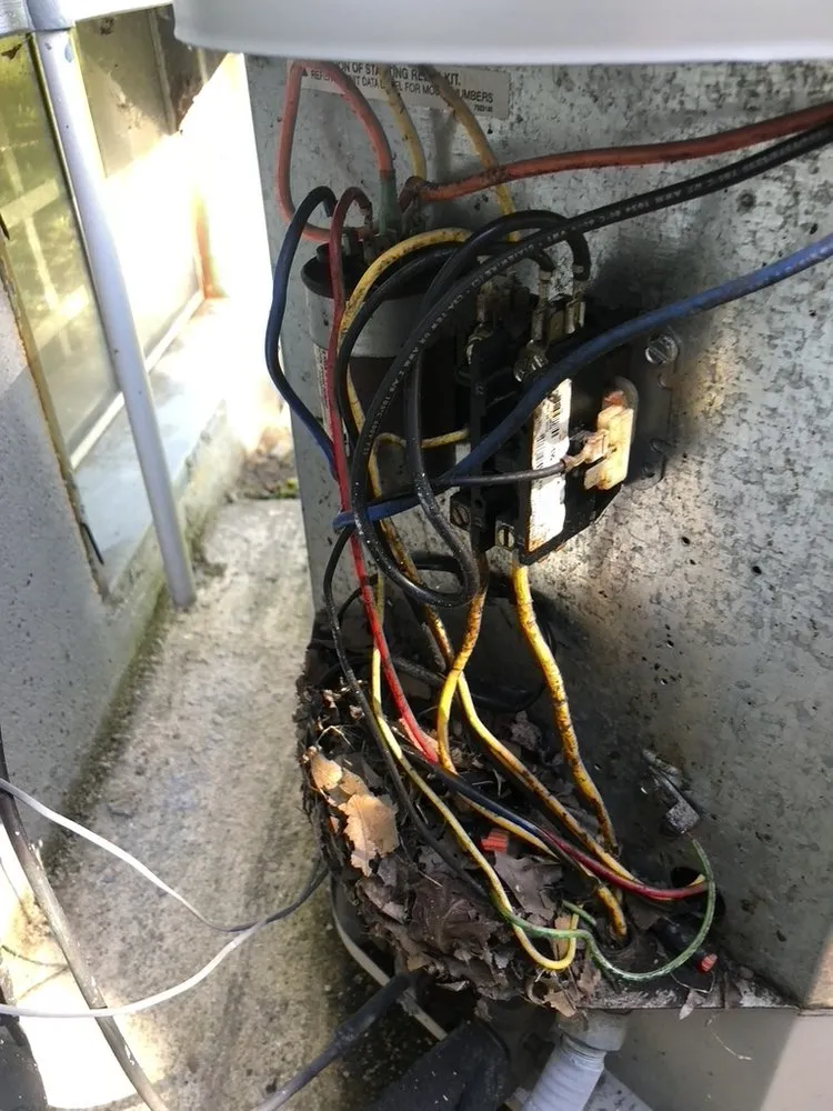 Slide of Just Hot Water