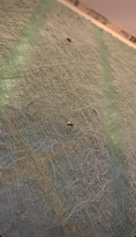 Slide of Just Right Heating & Cooling