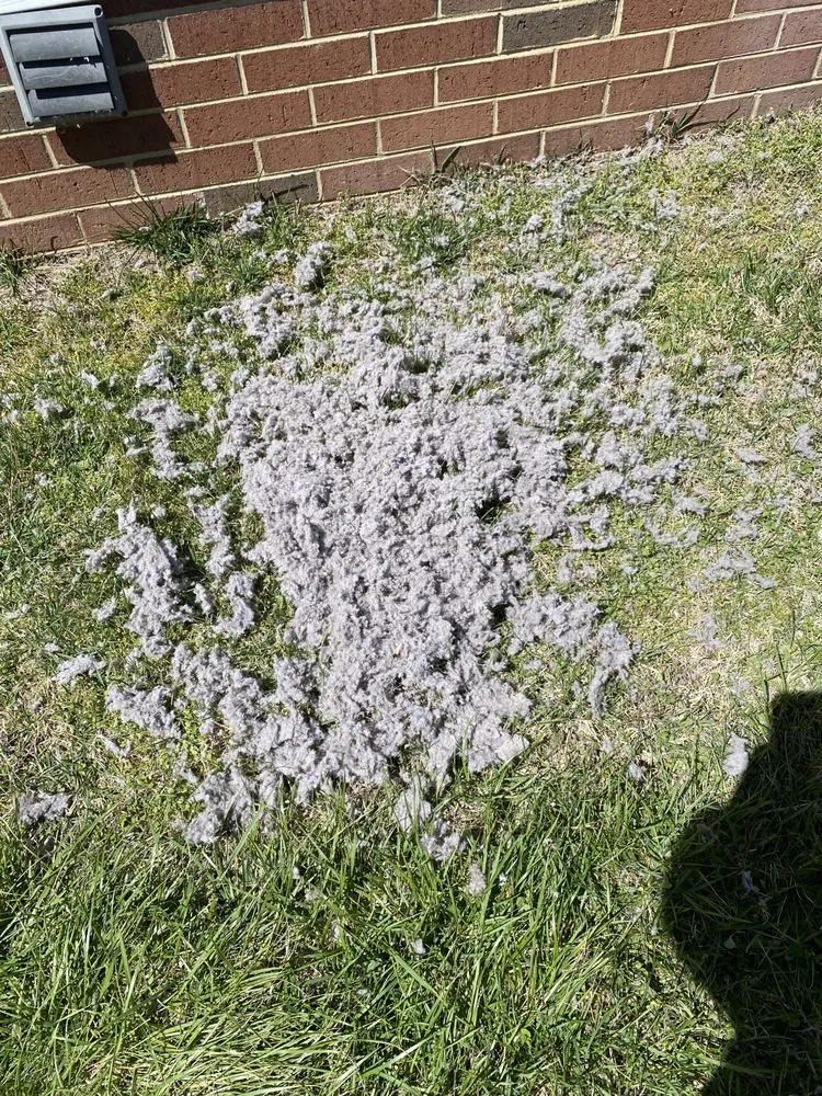 Slide of Kadamsrva Dryer Vent Cleaning Service