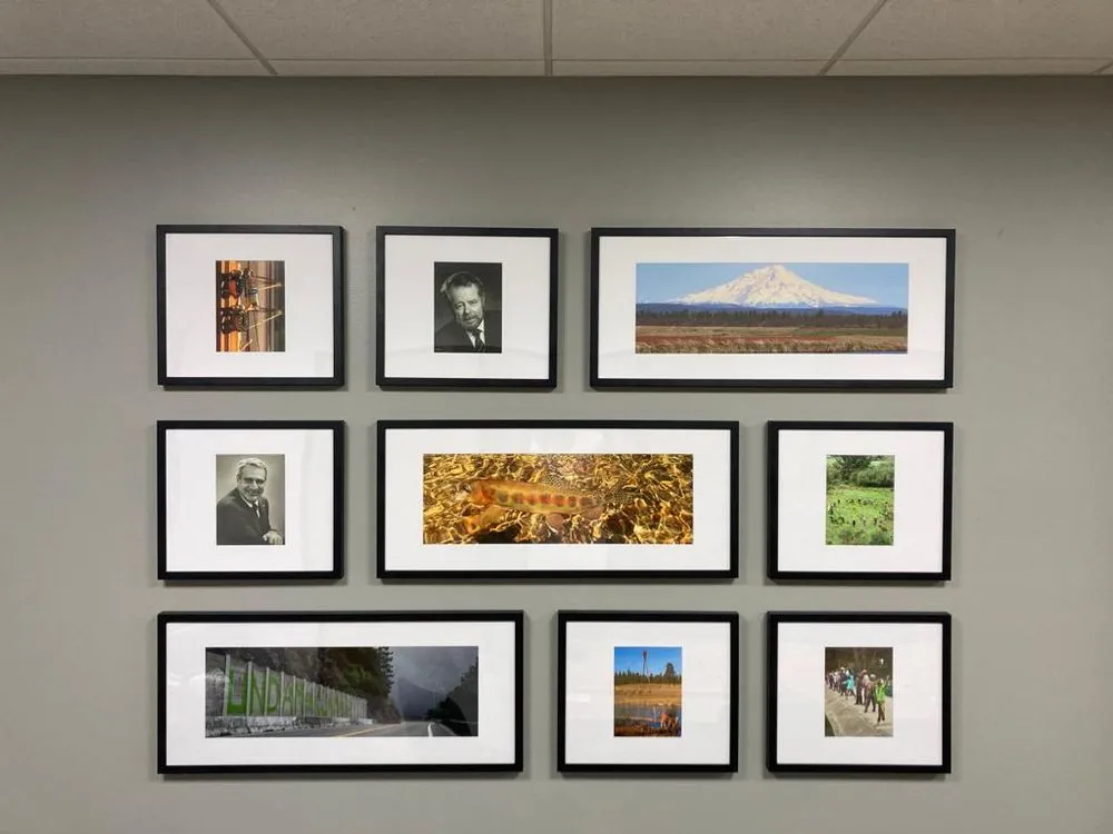 Slide of Kadir Yildiz