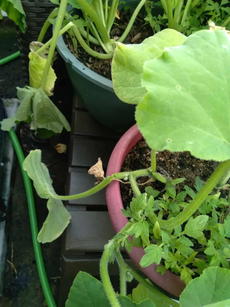 Slide of Kane Heating & Cooling