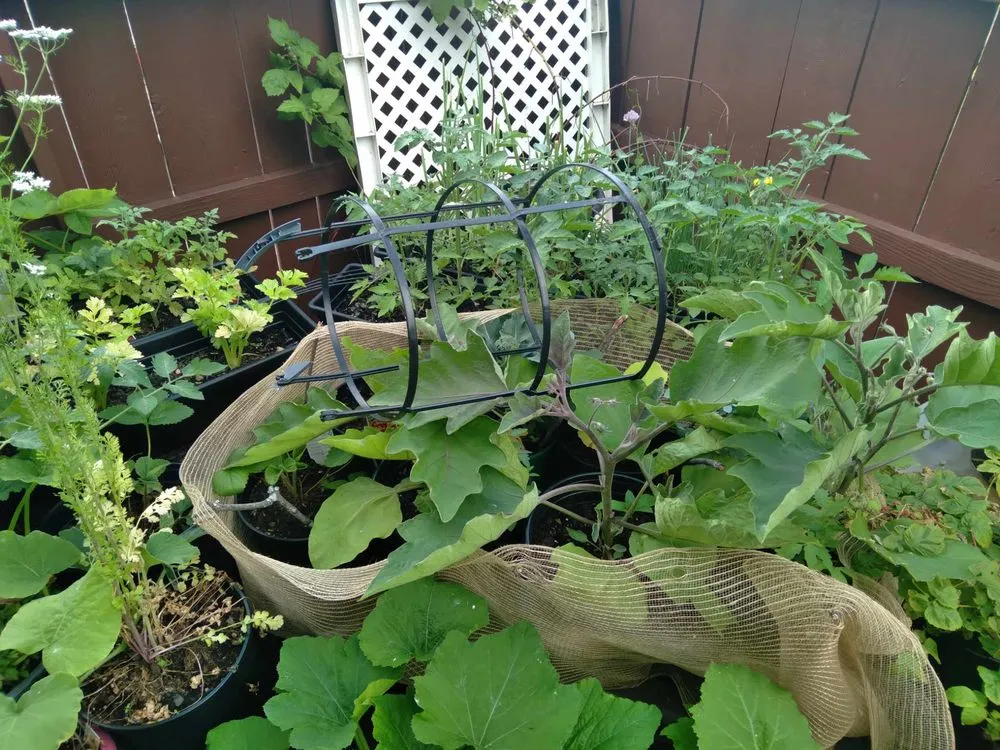 Slide of Kane Heating & Cooling