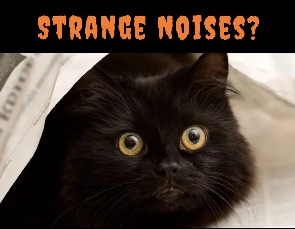 Slide of Kath Heating, A/C and Electrical