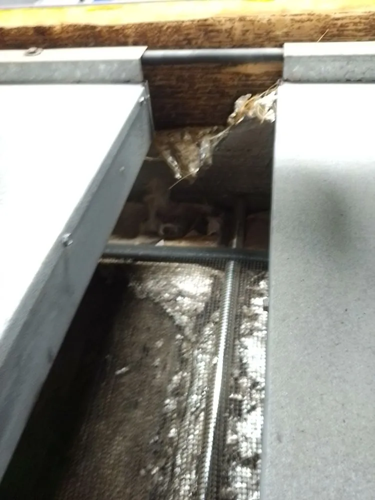 Slide of KC Custom Maintenance