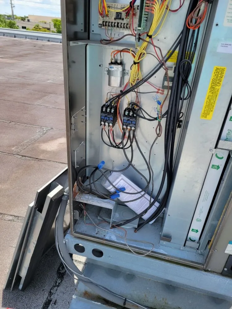 Slide of Kel Conditioning