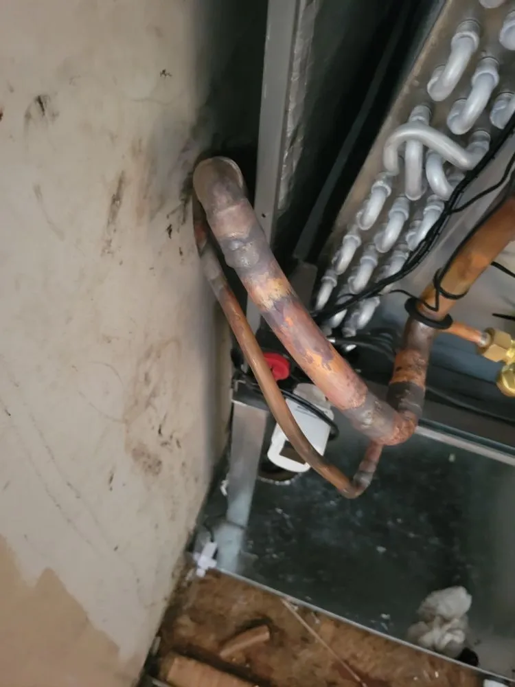 Slide of Kel Conditioning