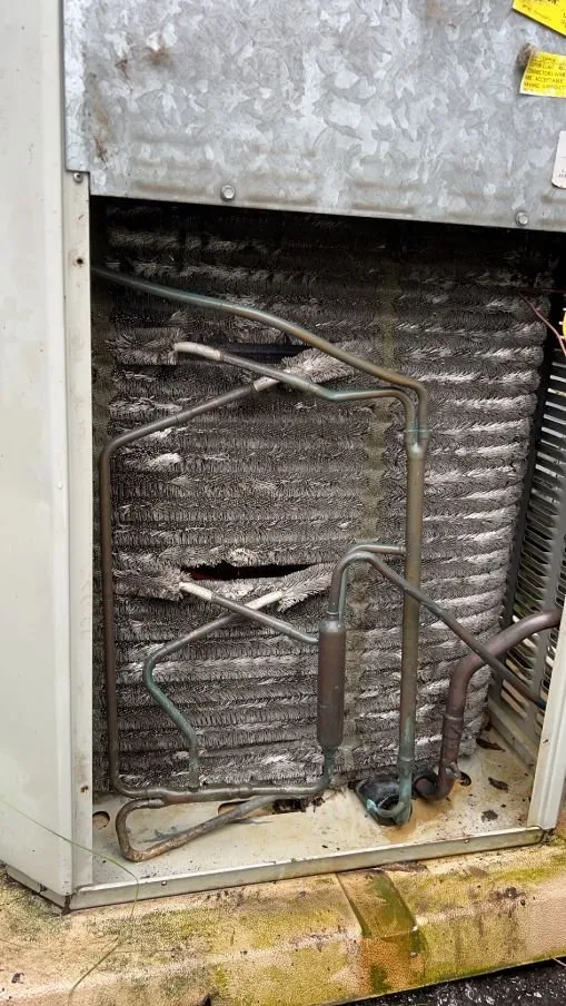 Slide of Kelty Mechanical