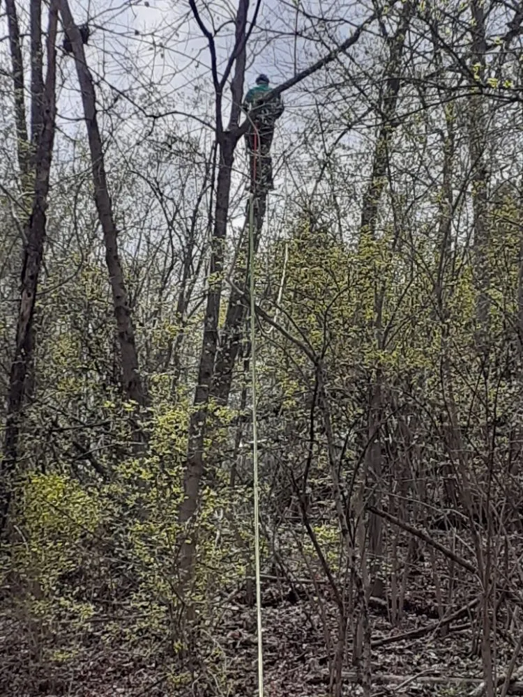 Slide of Kentucky Lawn and Leaf