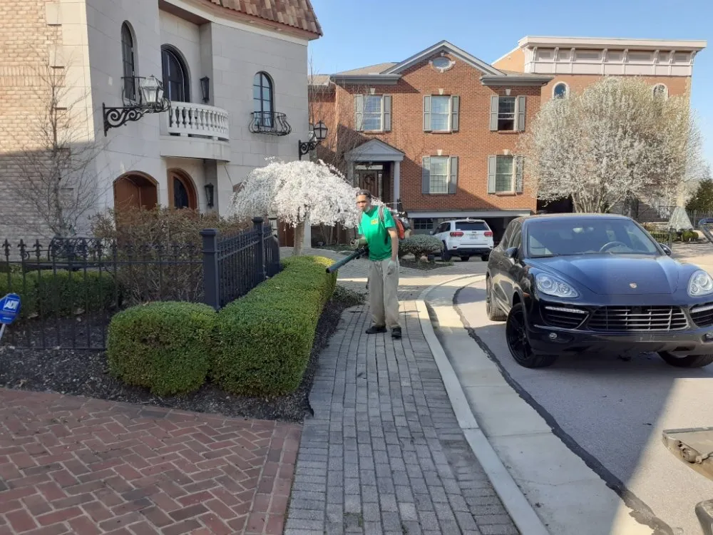 Slide of Kentucky Lawn and Leaf