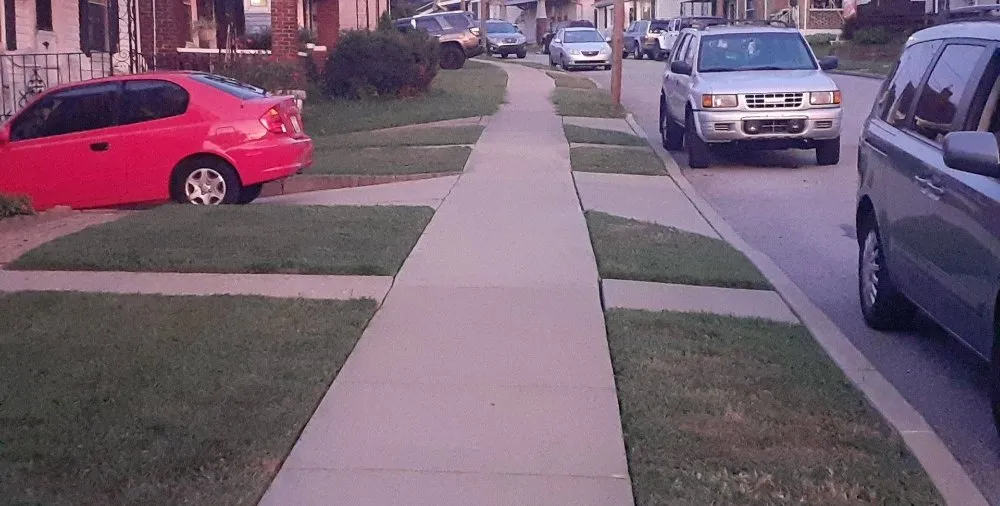 Slide of Kentucky Lawn and Leaf