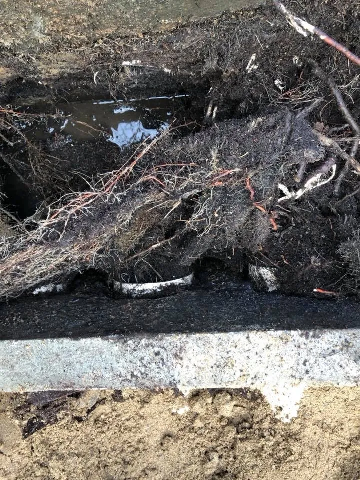 Slide of Kevin Shaw Plumbing