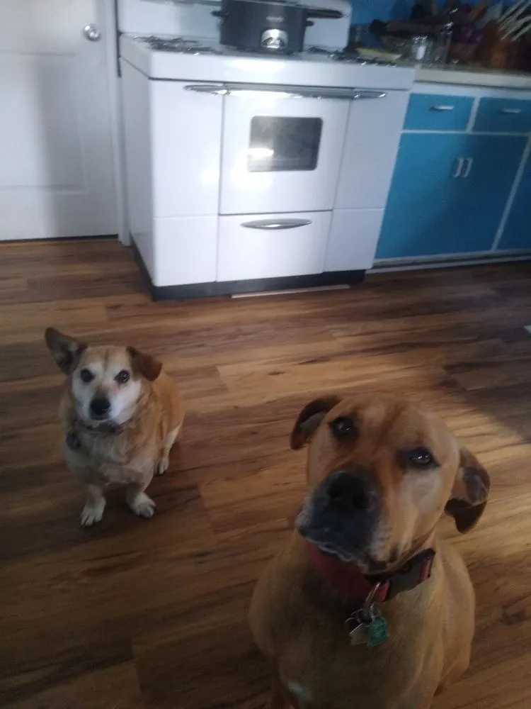 Slide of Khair Appliance and Hvac Repair