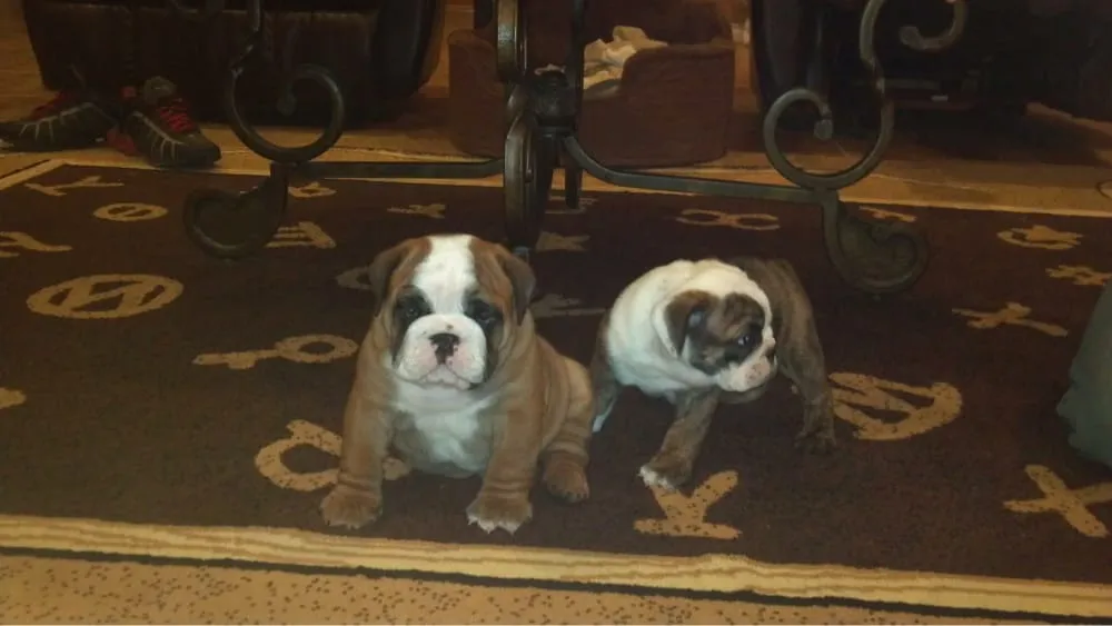 Slide of Killeen Heating & Air Conditioning