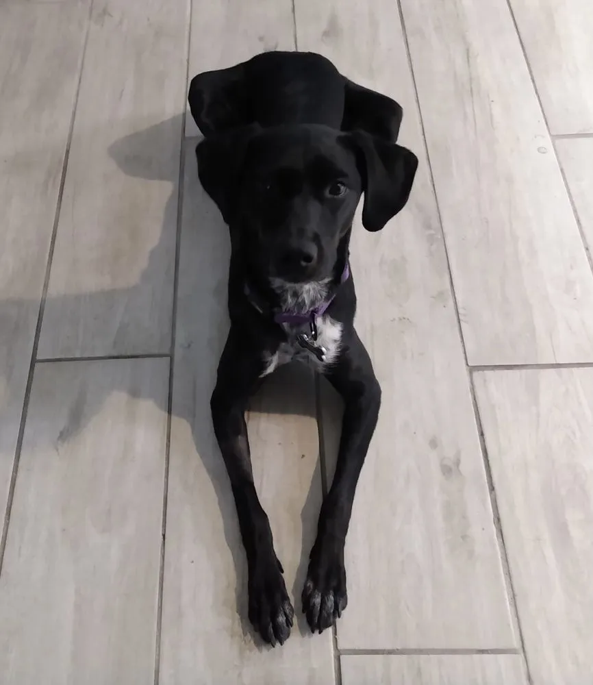 Slide of Kilter Mechanical Cooling and Heating