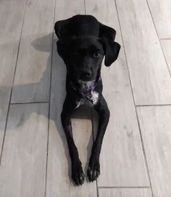 Kilter Mechanical Cooling and Heating Logo