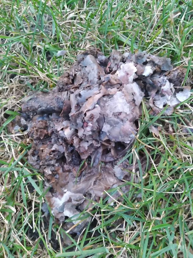 Slide of King Heating Cooling & Plumbing