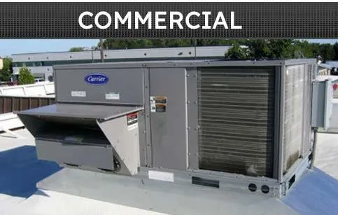 Slide of King's Mechanical