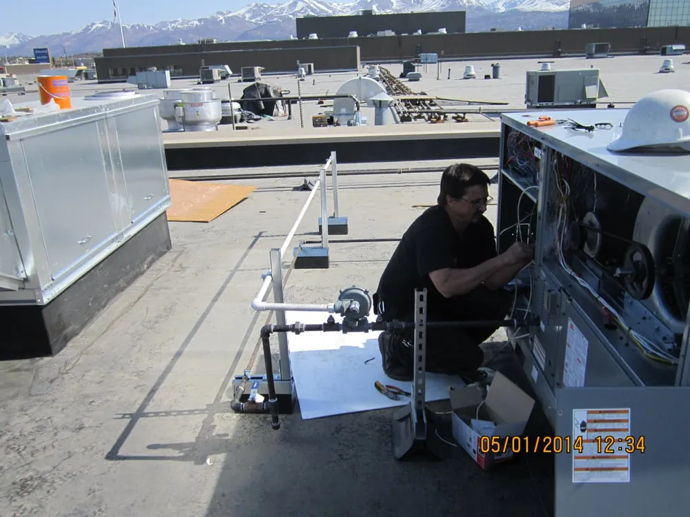 Slide of Klebs Mechanical