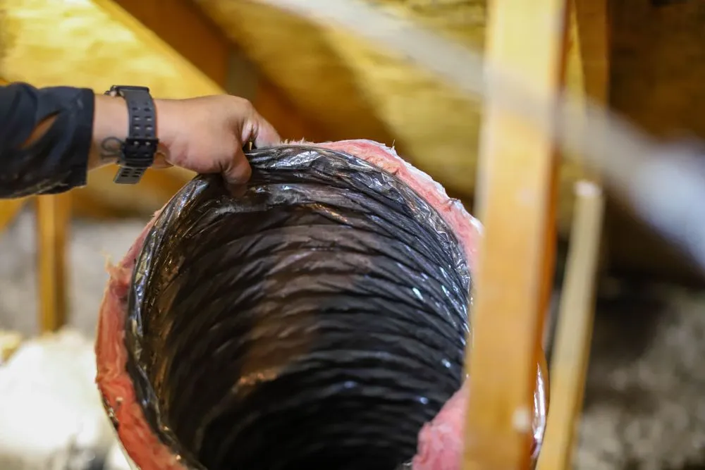 Slide of Knights of the Attic