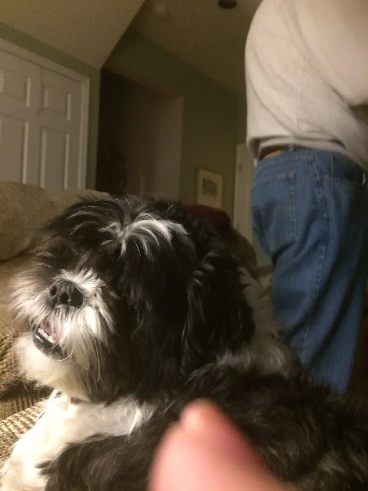 Slide of Kobie Kooling