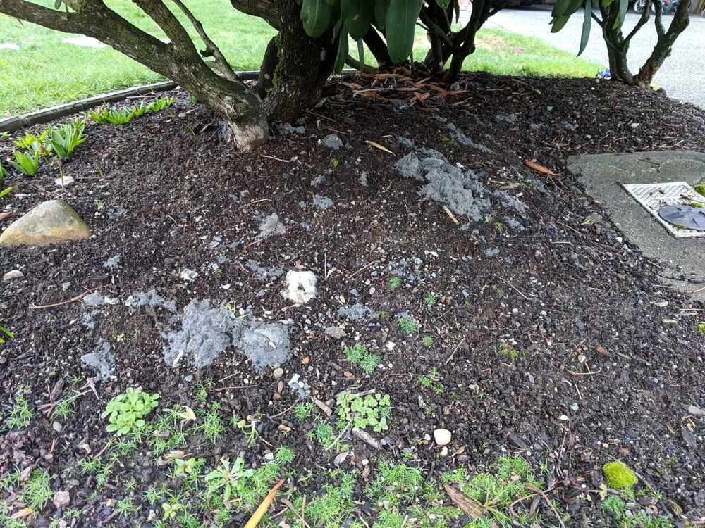 Slide of Kodiak Heating & Cooling