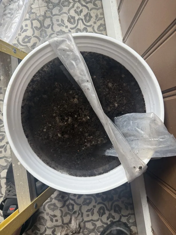 Slide of Kokernak Heat Pump Cleaning Services