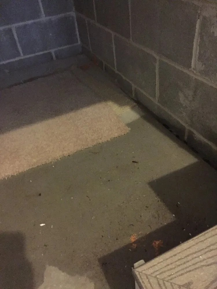 Slide of Konopka-Marsden & Sons Llc