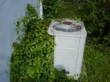 Slide of KW Smith & Son