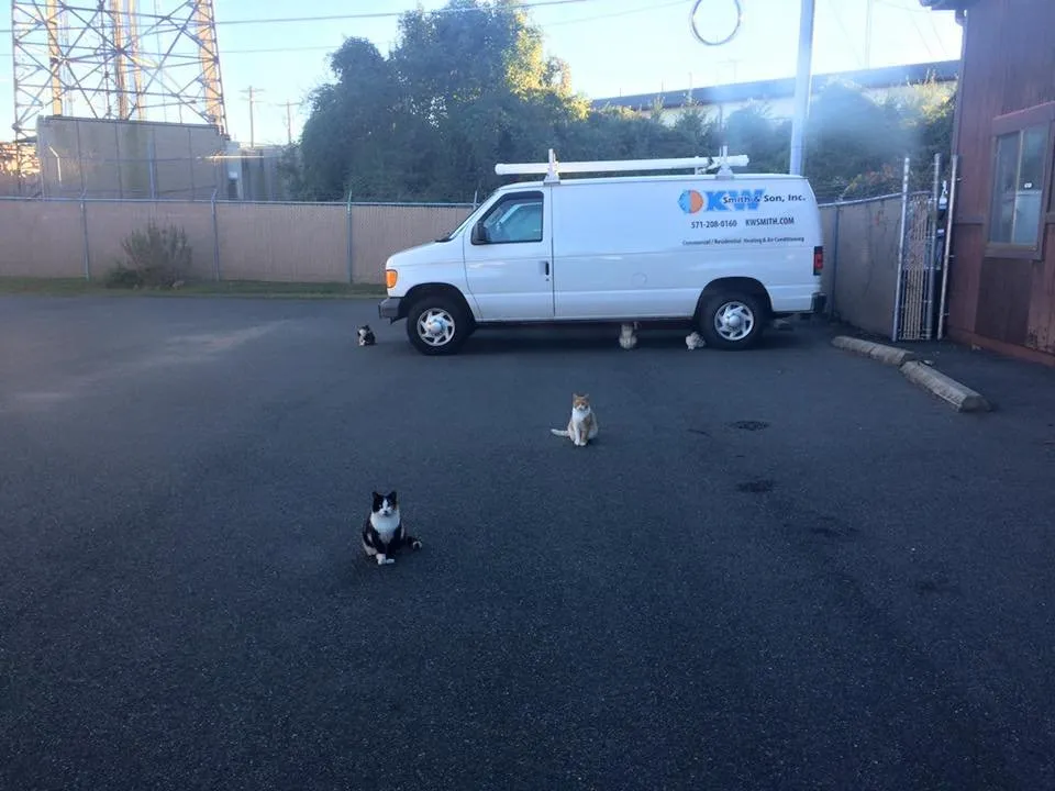 Slide of KW Smith & Son