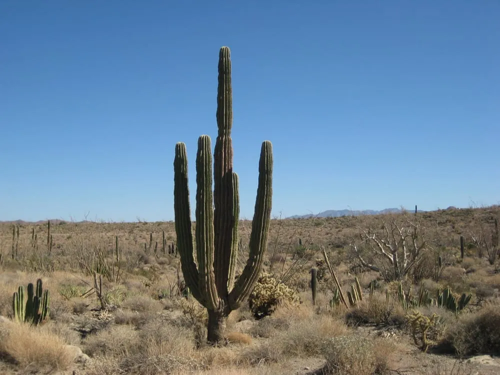 Slide of L E Schoonmaker Heating & Air Conditioning