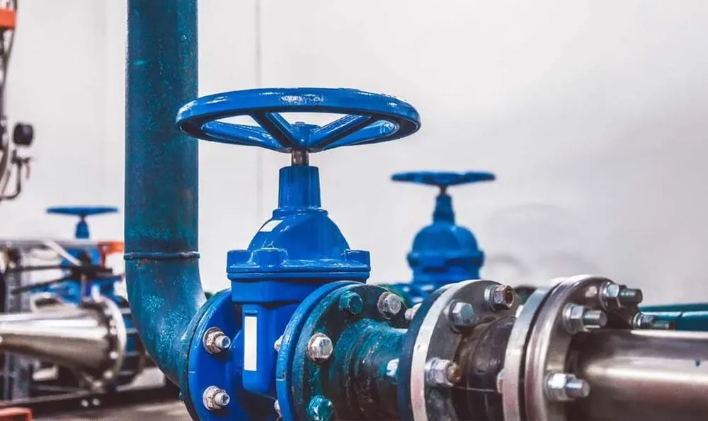 Slide of L H LaPlante