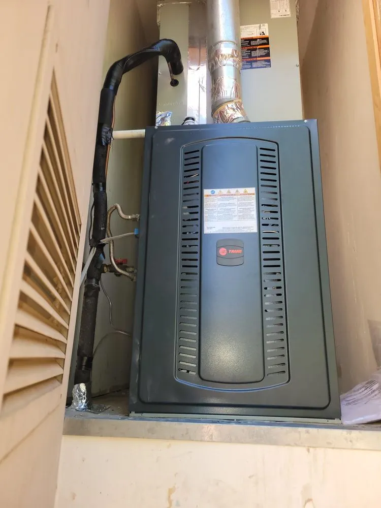 Slide of Lady G Mechanical