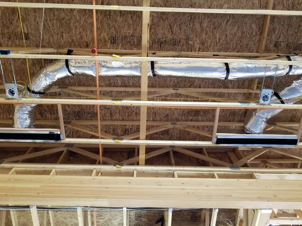 Slide of Lady G Mechanical