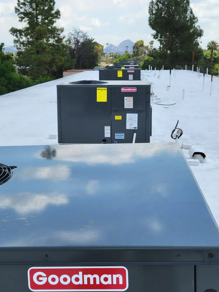 Slide of Lady G Mechanical