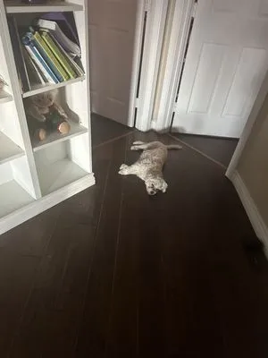 Lake City Air Conditioning Heating Logo