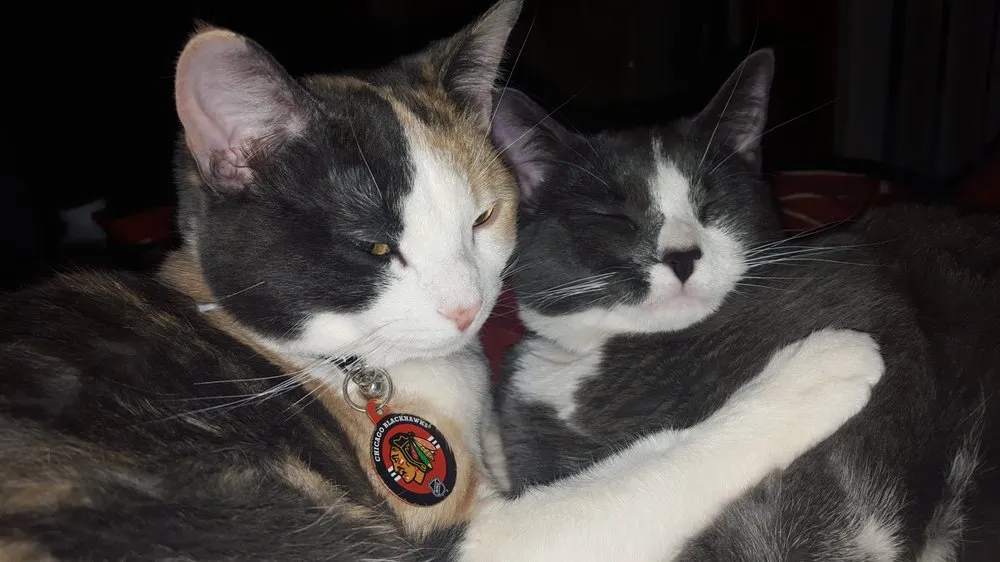 Slide of Lake County Mechanical