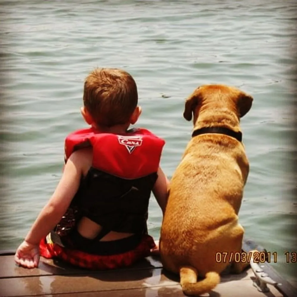 Professional furnace service in Moneta, VA - Lake Dog Designs