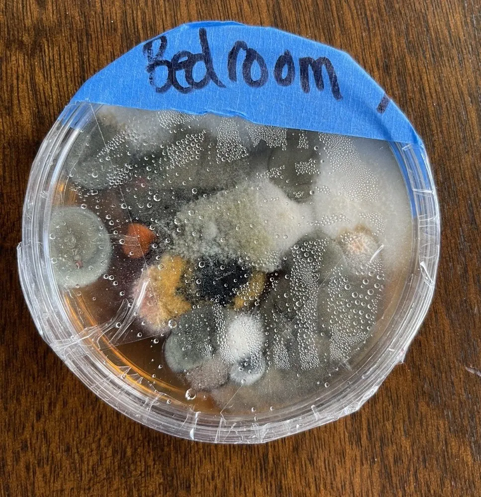 Slide of Lang 72 Degrees