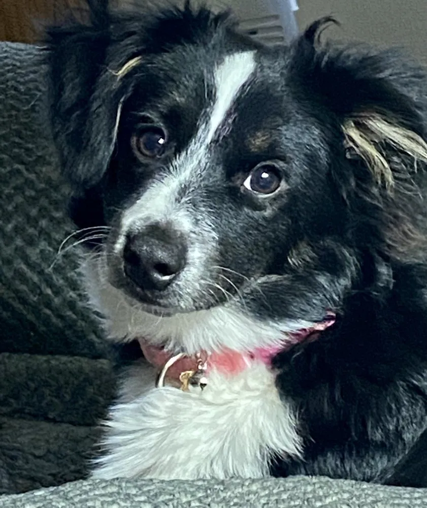 Slide of Laser Air Conditioning