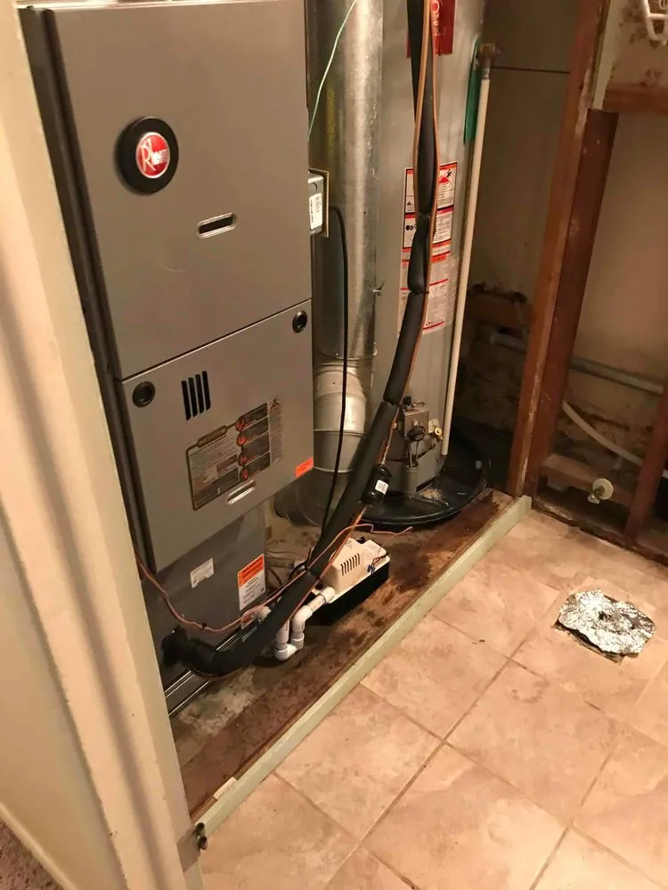 Slide of Latta-Whitlow