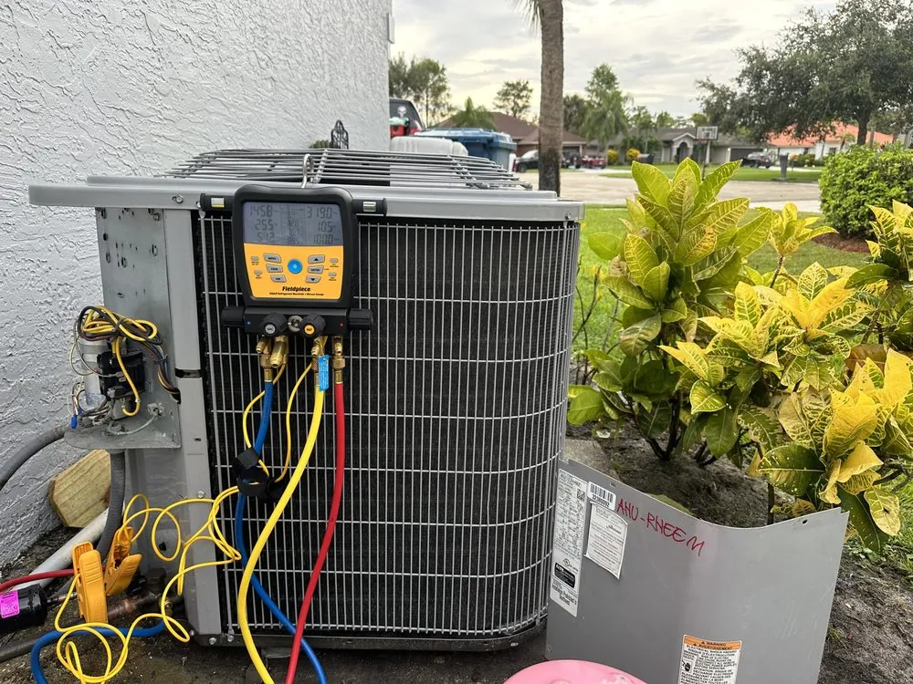 Slide of Laz P General Services