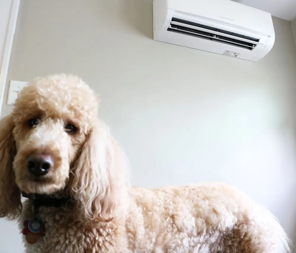Slide of LBA Air Conditioning, Heating & Plumbing