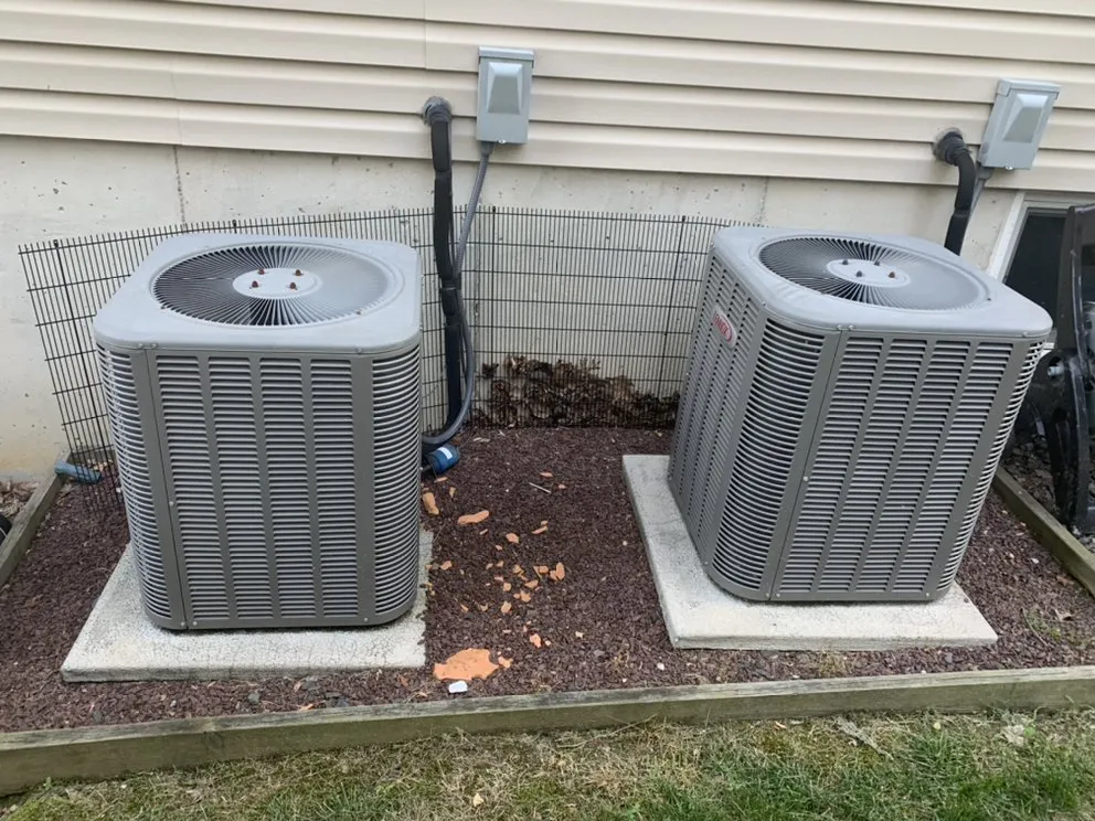 Slide of LB's Services