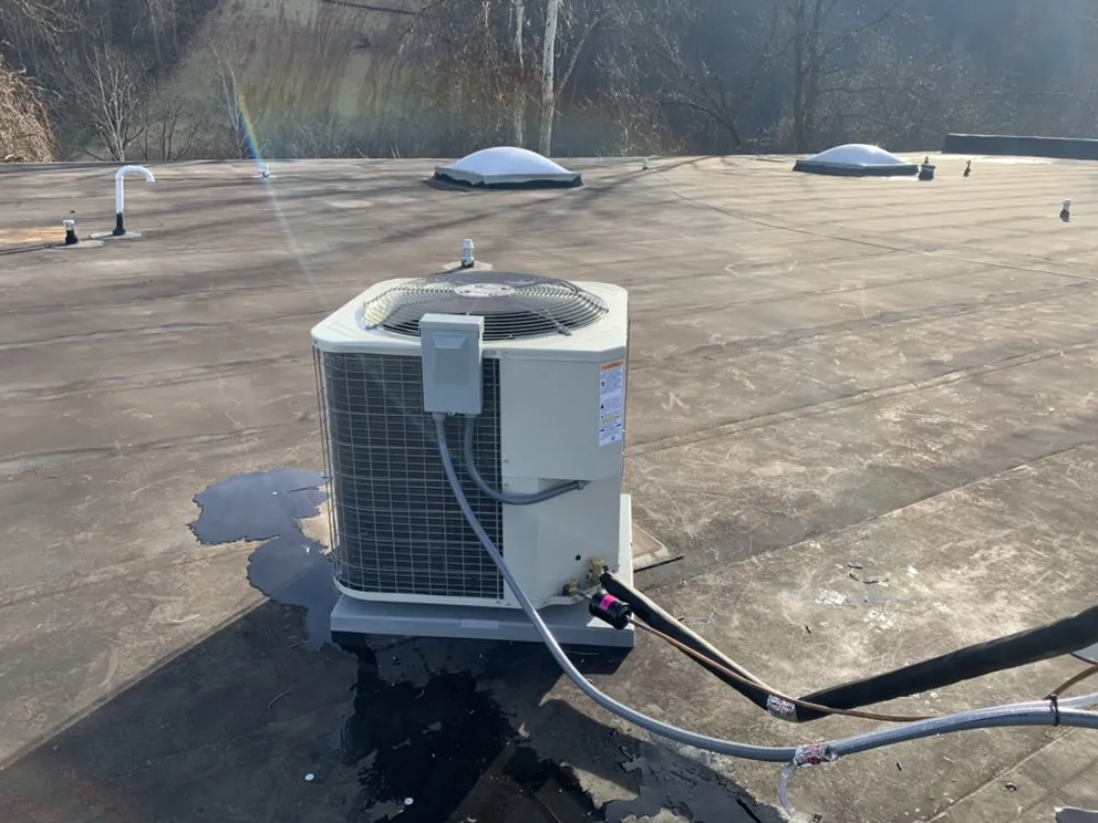 Slide of LB's Services