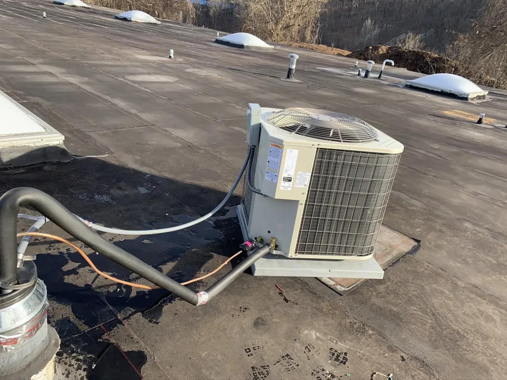 Slide of LB's Services