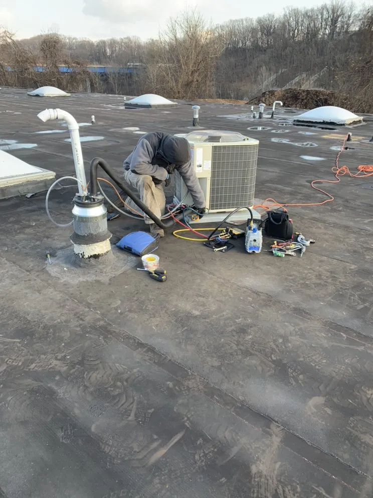 Slide of LB's Services