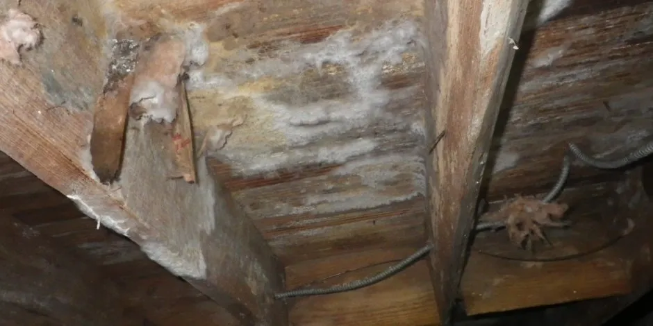 Slide of LC Myers Environmental