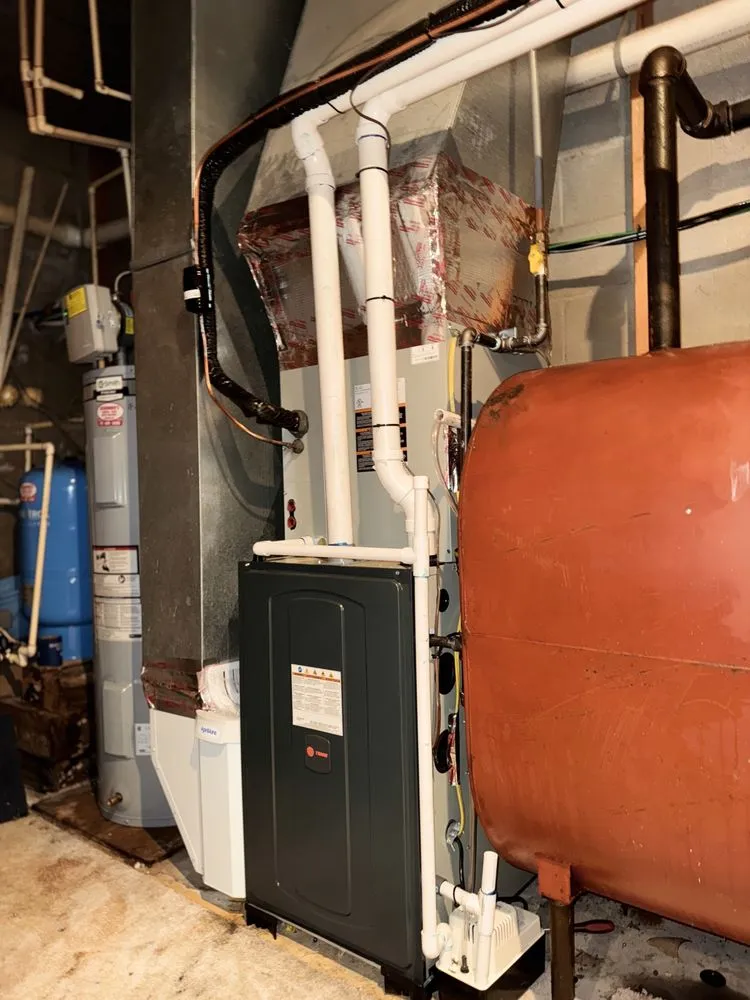 Slide of Leaps & Bounds