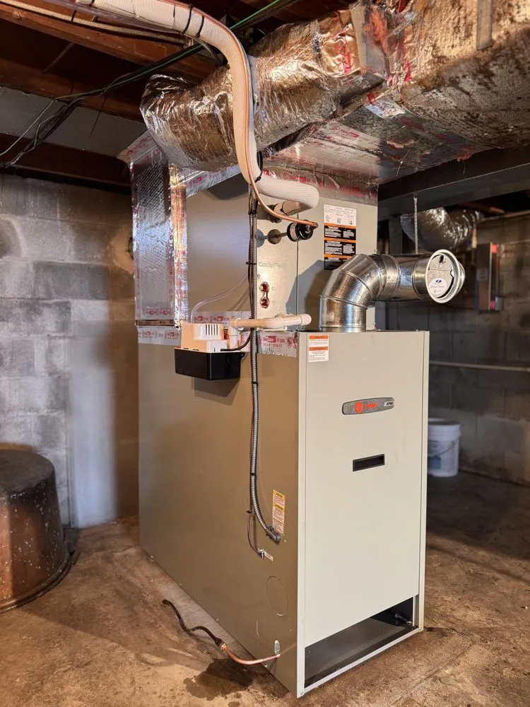 Slide of Leaps & Bounds